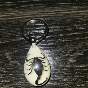 🦋 Lot B/E Real Taxidermy Scorpion Keychain with Cream Background